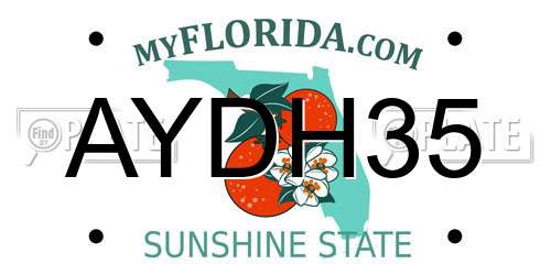 AYDH35 Florida License Plate