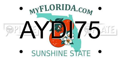 AYDI75 Florida License Plate