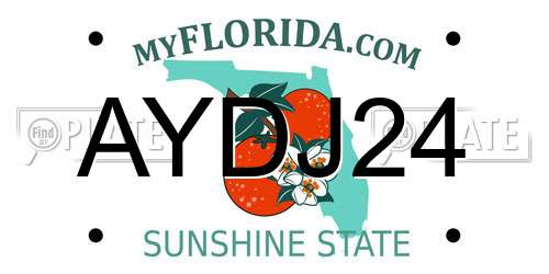 AYDJ24 Florida License Plate