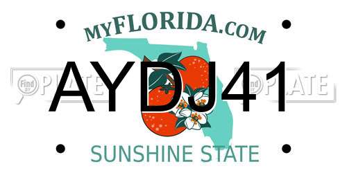 AYDJ41 Florida License Plate