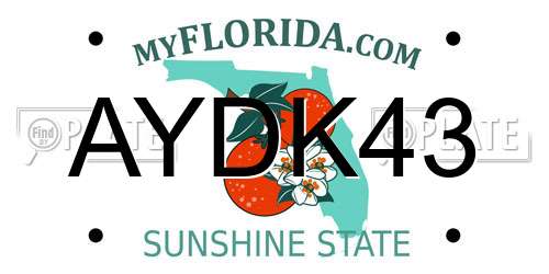 AYDK43 Florida License Plate