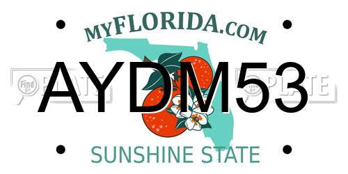 AYDM53 Florida License Plate