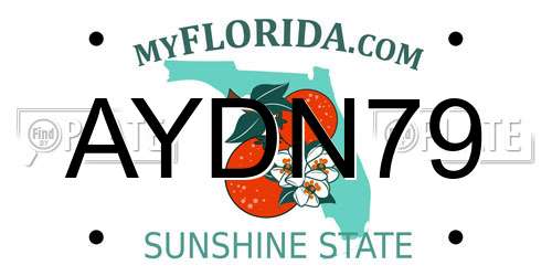 AYDN79 Florida License Plate