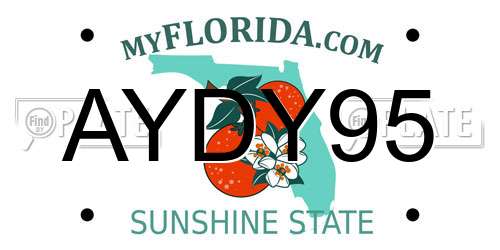 AYDY95 Florida License Plate