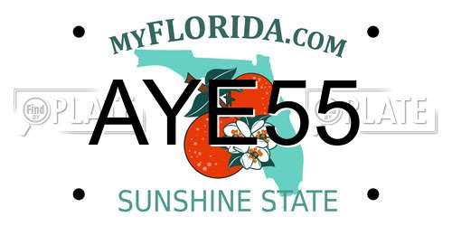 AYE55 Florida License Plate
