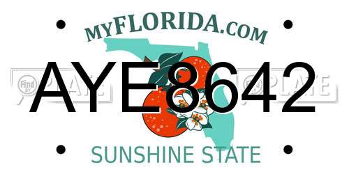 AYE8642 Florida License Plate