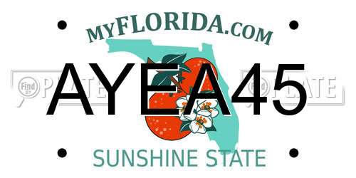 AYEA45 Florida License Plate