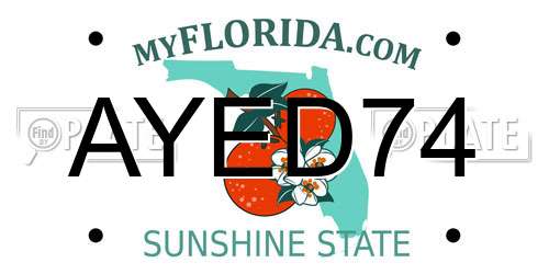 AYED74 Florida License Plate