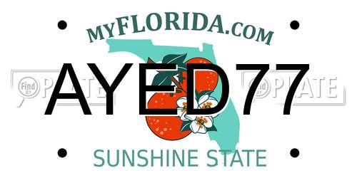 AYED77 Florida License Plate