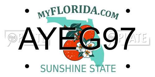 AYEG97 Florida License Plate
