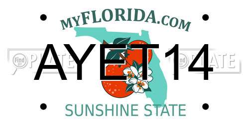 AYET14 Florida License Plate