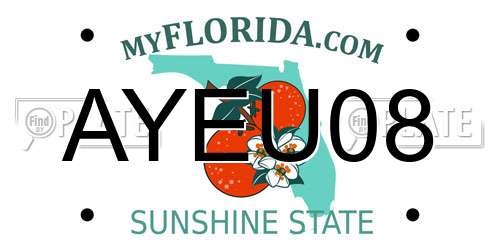 AYEU08 Florida License Plate