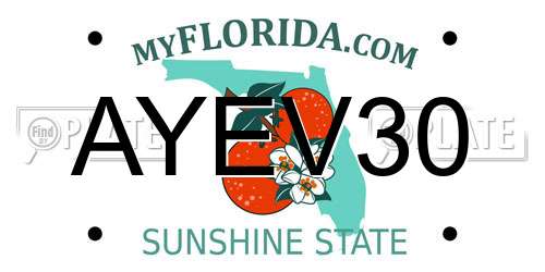 AYEV30 Florida License Plate