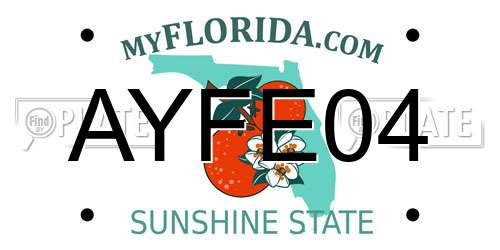 AYFE04 Florida License Plate