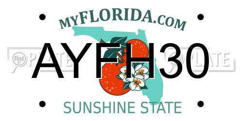 AYFH30 Florida License Plate