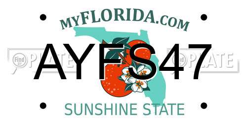AYFS47 Florida License Plate