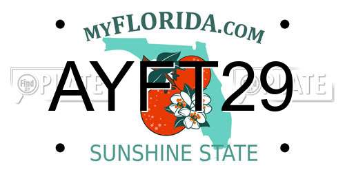AYFT29 Florida License Plate