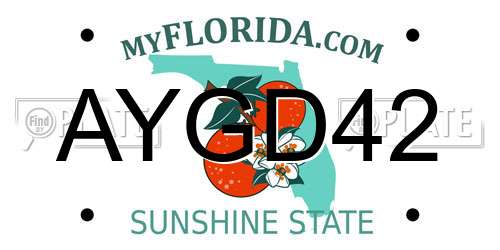 AYGD42 Florida License Plate