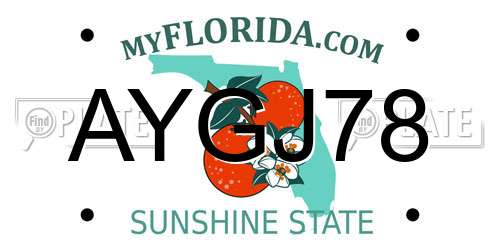 AYGJ78 Florida License Plate
