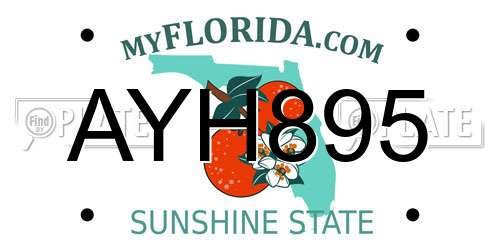 AYH895 Florida License Plate