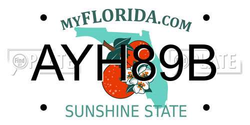 AYH89B Florida License Plate