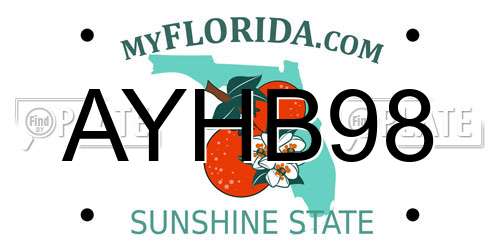 AYHB98 Florida License Plate