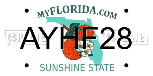 AYHF28 Florida License Plate