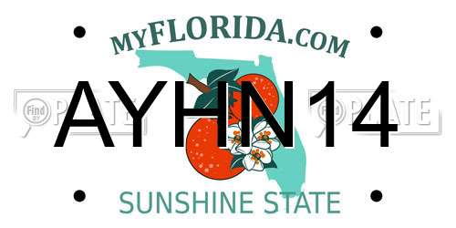 AYHN14 Florida License Plate