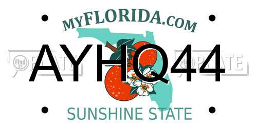 AYHQ44 Florida License Plate