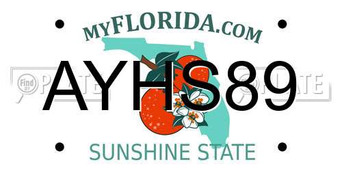 AYHS89 Florida License Plate