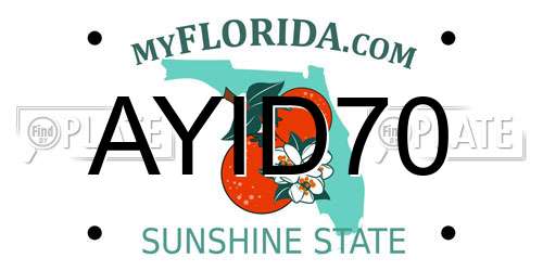 AYID70 Florida License Plate