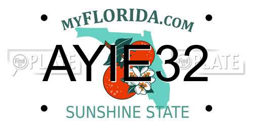 AYIE32 Florida License Plate