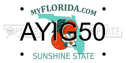 AYIG50 Florida License Plate