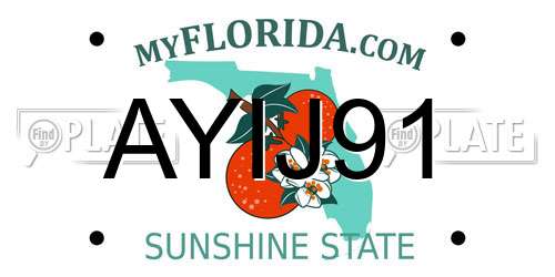 AYIJ91 Florida License Plate