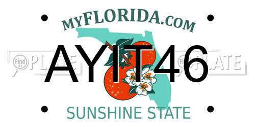 AYIT46 Florida License Plate