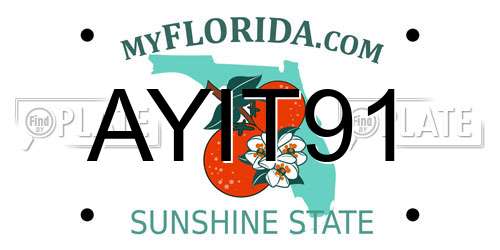AYIT91 Florida License Plate