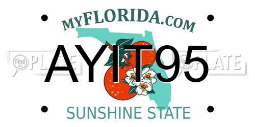 AYIT95 Florida License Plate