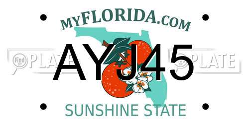 AYJ45 Florida License Plate