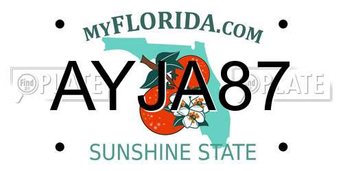 AYJA87 Florida License Plate