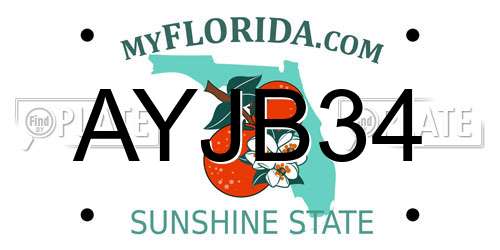 AYJB34 Florida License Plate
