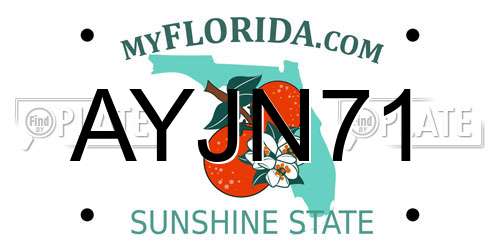 AYJN71 Florida License Plate