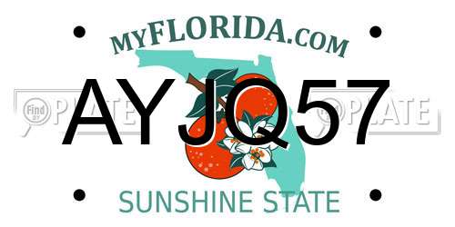 AYJQ57 Florida License Plate