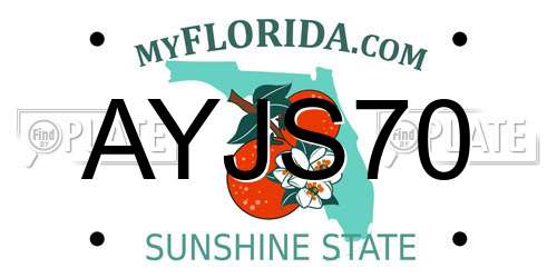 AYJS70 Florida License Plate