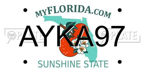 AYKA97 Florida License Plate