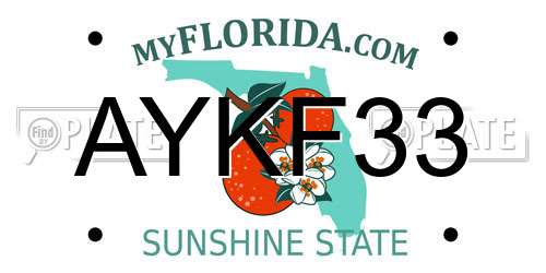 AYKF33 Florida License Plate
