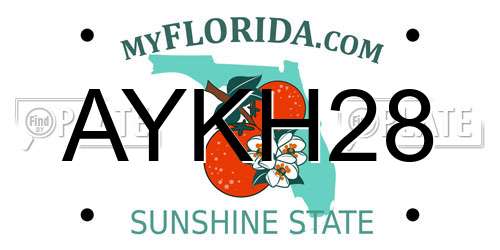 AYKH28 Florida License Plate