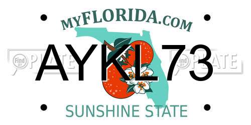 AYKL73 Florida License Plate