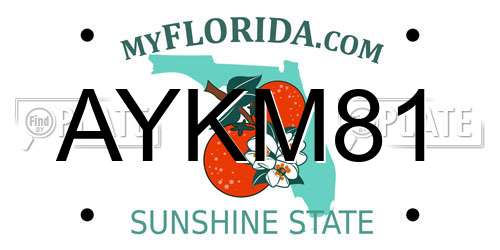 AYKM81 Florida License Plate