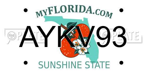 AYKV93 Florida License Plate
