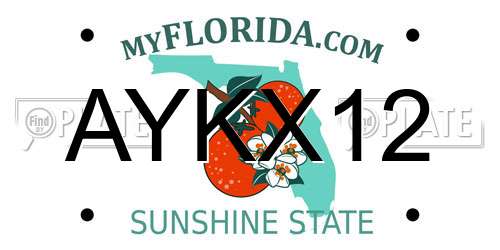 AYKX12 Florida License Plate